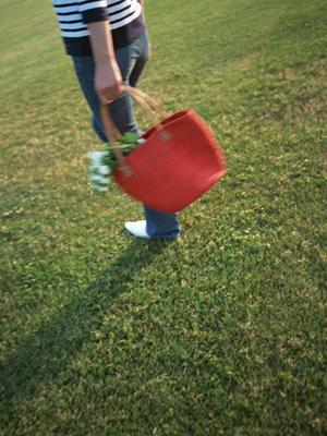 パタゴニアのフリース製品を徹底解説！快適さとデザイン性を兼ね備えたアウトドアウェアの選び方